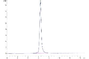 The purity of Cynomolgus CD3E&CD3G was greater than 95 % as determined by SEC-HPLC.