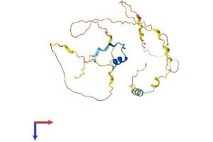 AlphaFold protein structure predicition of Mouse Recombinant Pou2af1 Protein, UniprotID Q64693