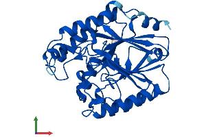 AlphaFold protein structure predicition of Mouse Recombinant Cpped1 Protein, UniprotID Q8BFS6