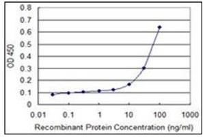 ELISA image for anti-Protein Kinase, Interferon-Inducible Double Stranded RNA Dependent Activator (PRKRA) antibody (ABIN781891) (PRKRA anticorps)