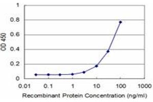 Detection limit for recombinant GST tagged MEOX2 is approximately 3ng/ml as a capture antibody. (MEOX2 anticorps  (AA 1-303))