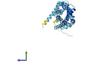 AlphaFold protein structure predicition of Mouse Recombinant Ccr9 Protein, UniprotID Q9WUT7
