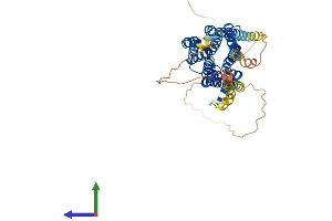 AlphaFold protein structure predicition of Human Recombinant HTR2A Protein, UniprotID P28223
