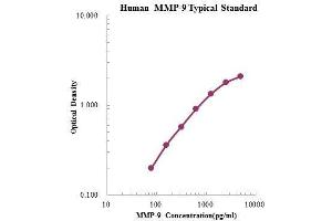 ELISA image for Matrix Metallopeptidase 9 (Gelatinase B, 92kDa Gelatinase, 92kDa Type IV Collagenase) (MMP9) ELISA Kit (ABIN3198599)