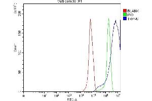 Flow Cytometry analysis of RT4 cells using anti-TRPV6 antibody (ABIN7600120).