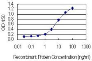 anti-Kinesin Family Member 17 (KIF17) (AA 930-1029) antibody