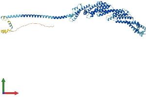 AlphaFold protein structure predicition of Human Recombinant COG6 Protein, UniprotID Q9Y2V7