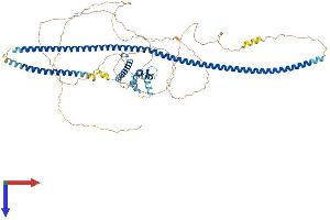 AlphaFold protein structure predicition of Human Recombinant RAB11FIP3 Protein, UniprotID O75154