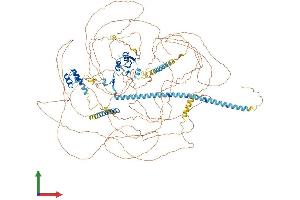 AlphaFold protein structure predicition of Human Recombinant ACIN1 Protein, UniprotID Q9UKV3