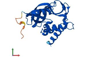 AlphaFold protein structure predicition of Mouse Recombinant Ggct Protein, UniprotID Q9D7X8