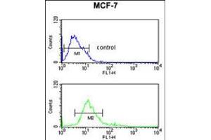 Flow cytometric analysis of MCF-7 cells (bottom histogram) compared to a negative control cell (top histogram).