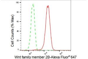Flow cytometric analysis of Wnt family member 2B expression in HepG2 cells using Wnt family member 2B antibody (ABIN7800861), 1:2,000).
