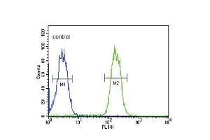 Flow cytometric analysis of MDA-MB435 cells (right histogram) compared to a negative control cell (left histogram). (ABCC3 anticorps  (AA 899-925))