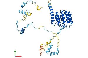 AlphaFold protein structure predicition of Mouse Recombinant Tmod3 Protein, UniprotID Q9JHJ0