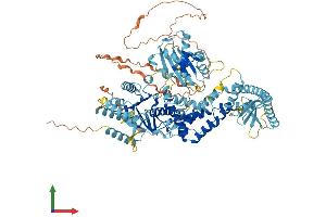 AlphaFold protein structure predicition of Human Recombinant MSH4 Protein, UniprotID O15457