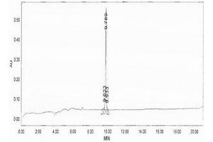Image no. 2 for Insulin-Like Growth Factor 1 (IGF1) (AA 81-96) peptide (Ovalbumin) (ABIN5666238) (Insulin-Like Growth Factor 1 (IGF1) (AA 81-96) peptide (Ovalbumin))