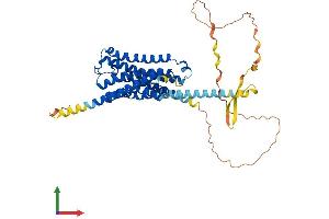 AlphaFold protein structure predicition of Human Recombinant CHRM4 Protein, UniprotID P08173