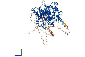AlphaFold protein structure predicition of Mouse Recombinant Dbr1 Protein, UniprotID Q923B1