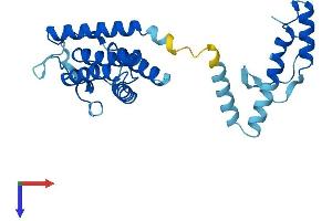 AlphaFold protein structure predicition of Human Recombinant PI4KAP1 Protein, UniprotID Q8N8J0