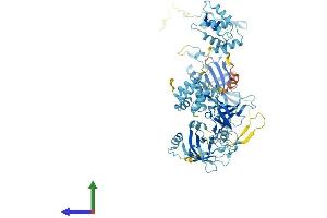AlphaFold protein structure predicition of Human Recombinant EFHC2 Protein, UniprotID Q5JST6