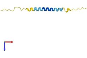 AlphaFold protein structure predicition of Mouse Recombinant Tma7 Protein, UniprotID Q8K003