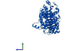 AlphaFold protein structure predicition of Human Recombinant ATIC Protein, UniprotID P31939