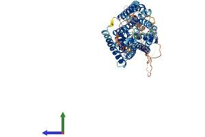 AlphaFold protein structure predicition of Mouse Recombinant Slc38a4 Protein, UniprotID Q8R1S9