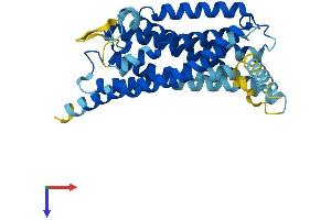 Succinate Receptor 1 (SUCNR1) (AA 1-317) protein (His tag)