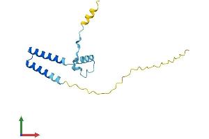 AlphaFold protein structure predicition of Human Recombinant FAM216B Protein, UniprotID Q8N7L0