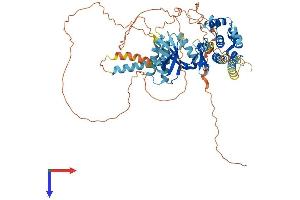 AlphaFold protein structure predicition of Human Recombinant EIF2AK1 Protein, UniprotID Q9BQI3