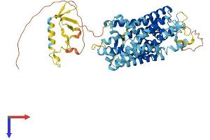 AlphaFold protein structure predicition of Human Recombinant SLC38A9 Protein, UniprotID Q8NBW4