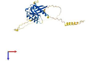 AlphaFold protein structure predicition of Mouse Recombinant Rem1 Protein, UniprotID O35929