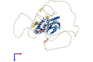 AlphaFold protein structure predicition of Mouse Recombinant Dennd1c Protein, UniprotID Q8CFK6