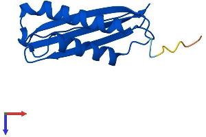 AlphaFold protein structure predicition of Mouse Recombinant Dynlt1 Protein, UniprotID P51807