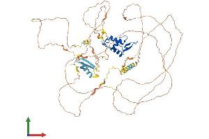 AlphaFold protein structure predicition of Human Recombinant FOXM1 Protein, UniprotID Q08050