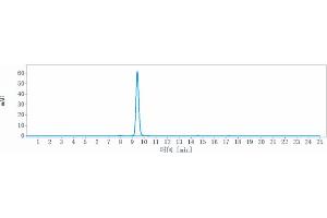 anti-Discoidin, CUB and LCCL Domain Containing 2 (DCBLD2) antibody