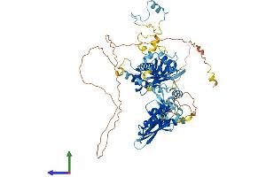 AlphaFold protein structure predicition of Human Recombinant NKRF Protein, UniprotID O15226