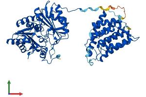 AlphaFold protein structure predicition of Mouse Recombinant Tkfc Protein, UniprotID Q8VC30