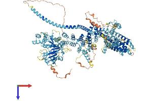 AlphaFold protein structure predicition of Human Recombinant TRPM5 Protein, UniprotID Q9NZQ8