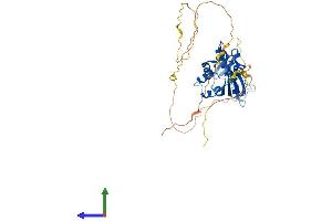 AlphaFold protein structure predicition of Mouse Recombinant Atcay Protein, UniprotID Q8BHE3