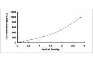 Typical standard curve (LAMC2 Kit ELISA)