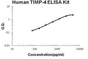 Human TIMP-4 Accusignal ELISA Kit Human TIMP-4 AccuSignal ELISA Kit standard curve. (TIMP4 Kit ELISA)