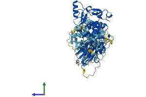AlphaFold protein structure predicition of Human Recombinant CAPN12 Protein, UniprotID Q6ZSI9