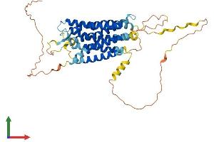 AlphaFold protein structure predicition of Mouse Recombinant Gpr150 Protein, UniprotID Q8BL07