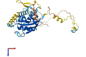 AlphaFold protein structure predicition of Human Recombinant ATG3 Protein, UniprotID Q9NT62