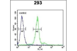 TPSAB1 Antibody (Center) (ABIN651632 and ABIN2850540) flow cytometric analysis of 293 cells (right histogram) compared to a negative control cell (left histogram). (TPSAB1 anticorps  (AA 61-87))