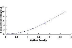 Fatty Acid Binding Protein 6, Ileal (FABP6) ELISA Kit
