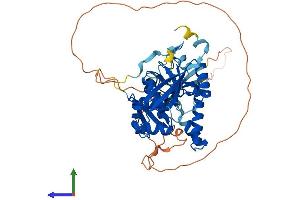 AlphaFold protein structure predicition of Human Recombinant TSEN2 Protein, UniprotID Q8NCE0