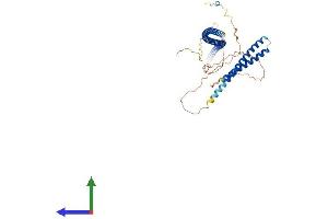 AlphaFold protein structure predicition of Human Recombinant CEP57L1 Protein, UniprotID Q8IYX8