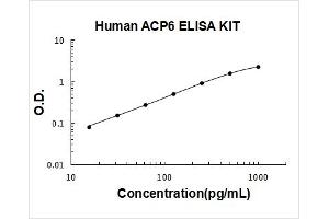 Acid Phosphatase 6, Lysophosphatidic (ACP6) ELISA Kit